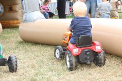 IMG_6888-scaled