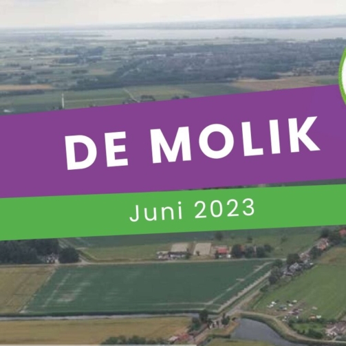Molik Juni 2023